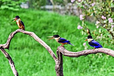 《小林家的龙女仆 炸裂!!天真龙☆吐息》 Steam10月27日发售